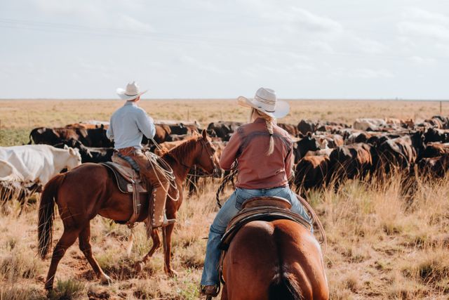 Ranch Texas