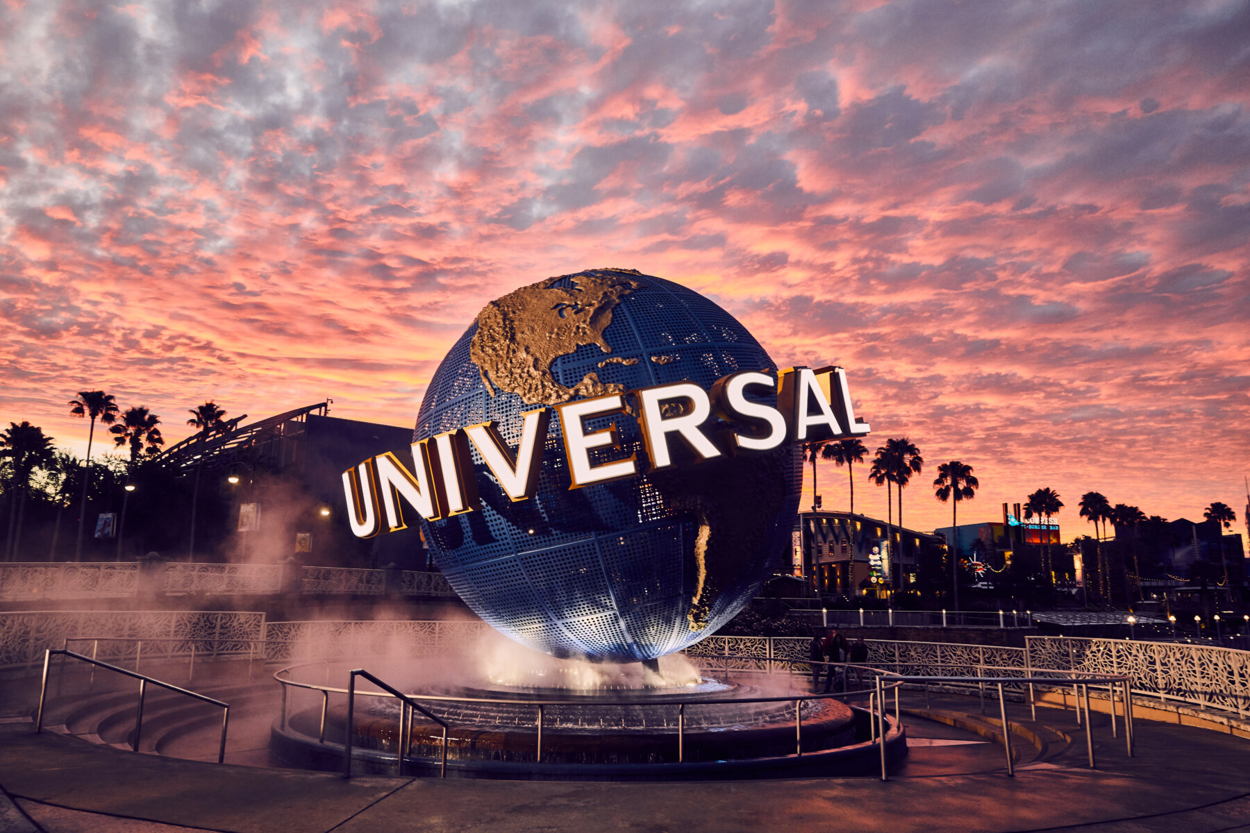 Universal Experience