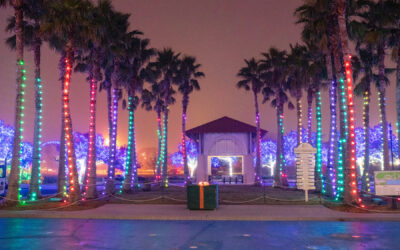 Mississippi’s betoverende winter