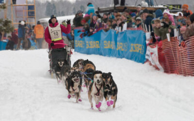 Winterpret in Minnesota