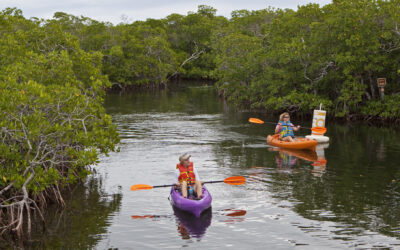 De Florida Keys – Ontsnap aan de winter in een tropisch paradijs