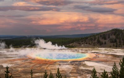 Toegangsprijzen nationale parken: wijzigingen vanaf 2026