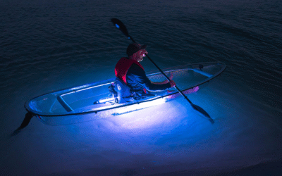 Magische gloed onder de kayak: Door de mangroven in het donker