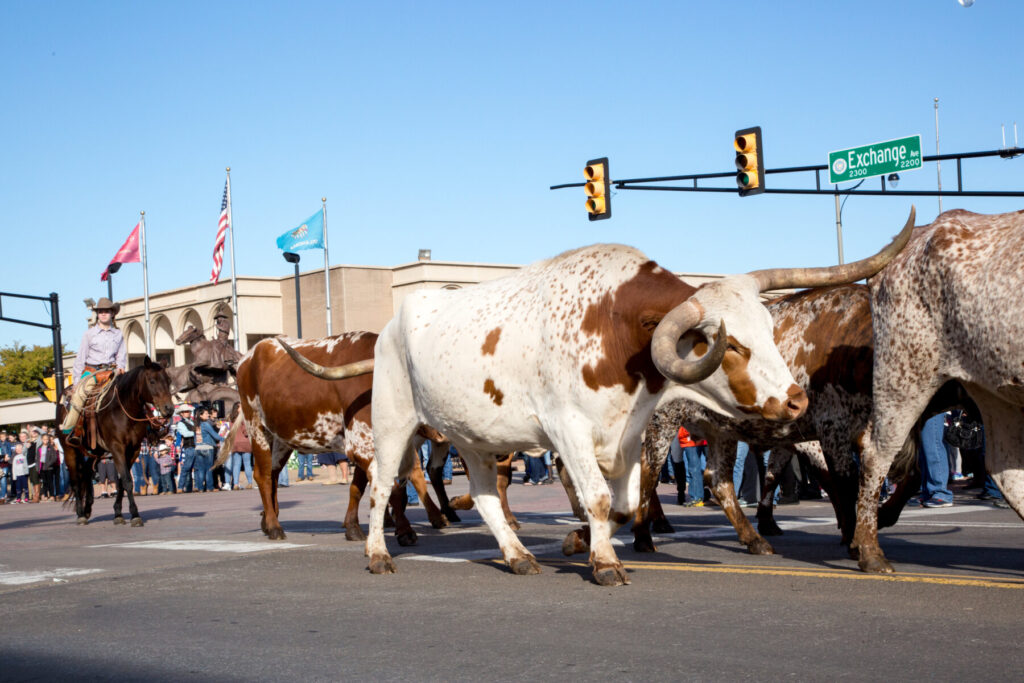 Stockyards Stampede in Oklahoma City