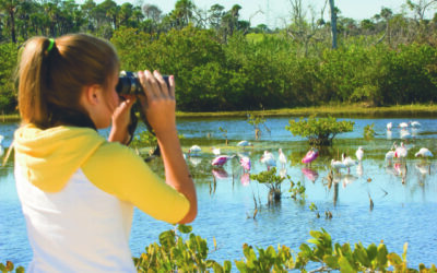 Ontdek de natuur van Florida’s Space Coast