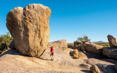 Ontdek de Sonorawoestijn in Scottsdale
