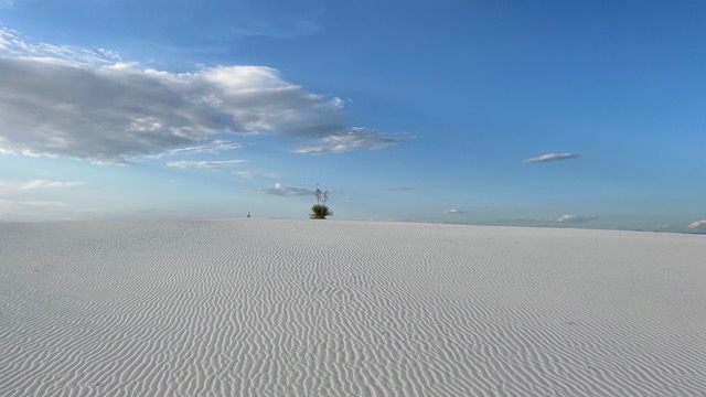 IndelibleTravel_WhiteSands