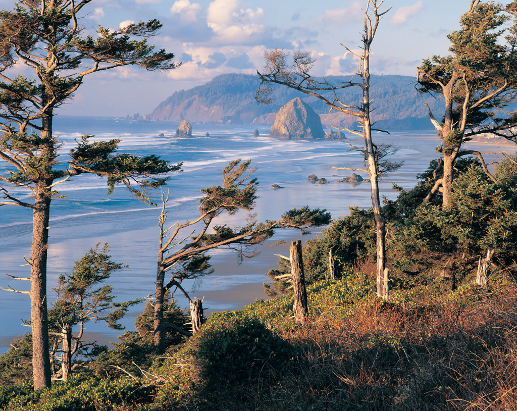 Oregon Coast