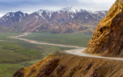 Een echte bucketlistervaring: Denali National Park, Alaska