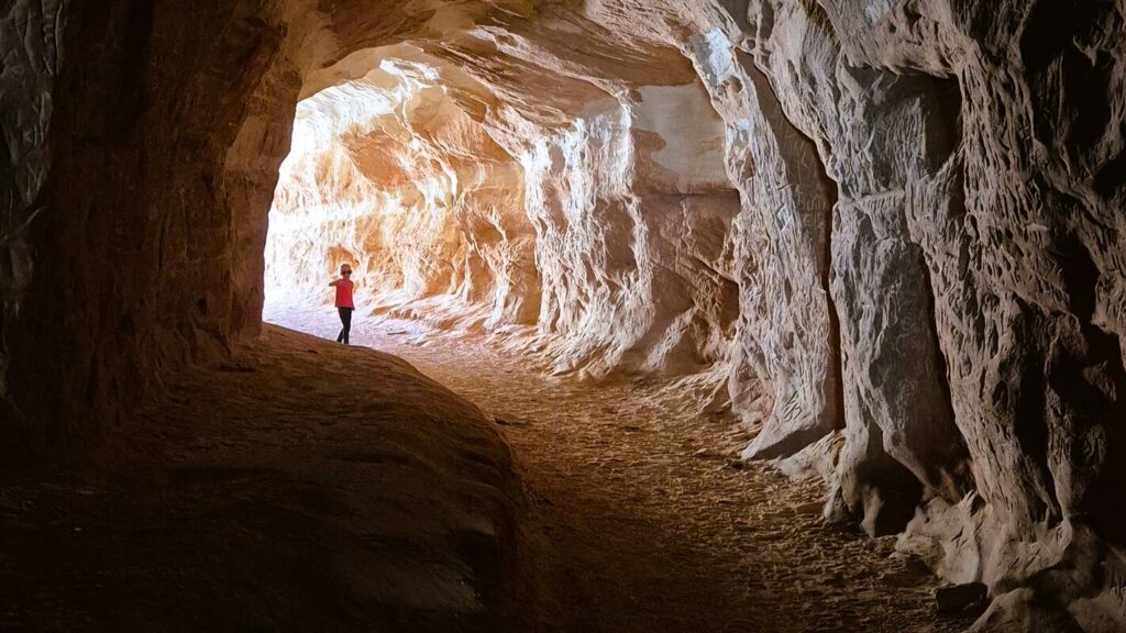 belly-of-the-dragon-noa