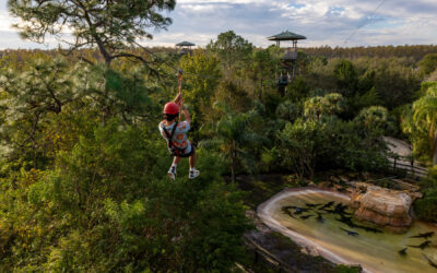Ontdek de wilde kant van Kissimmee