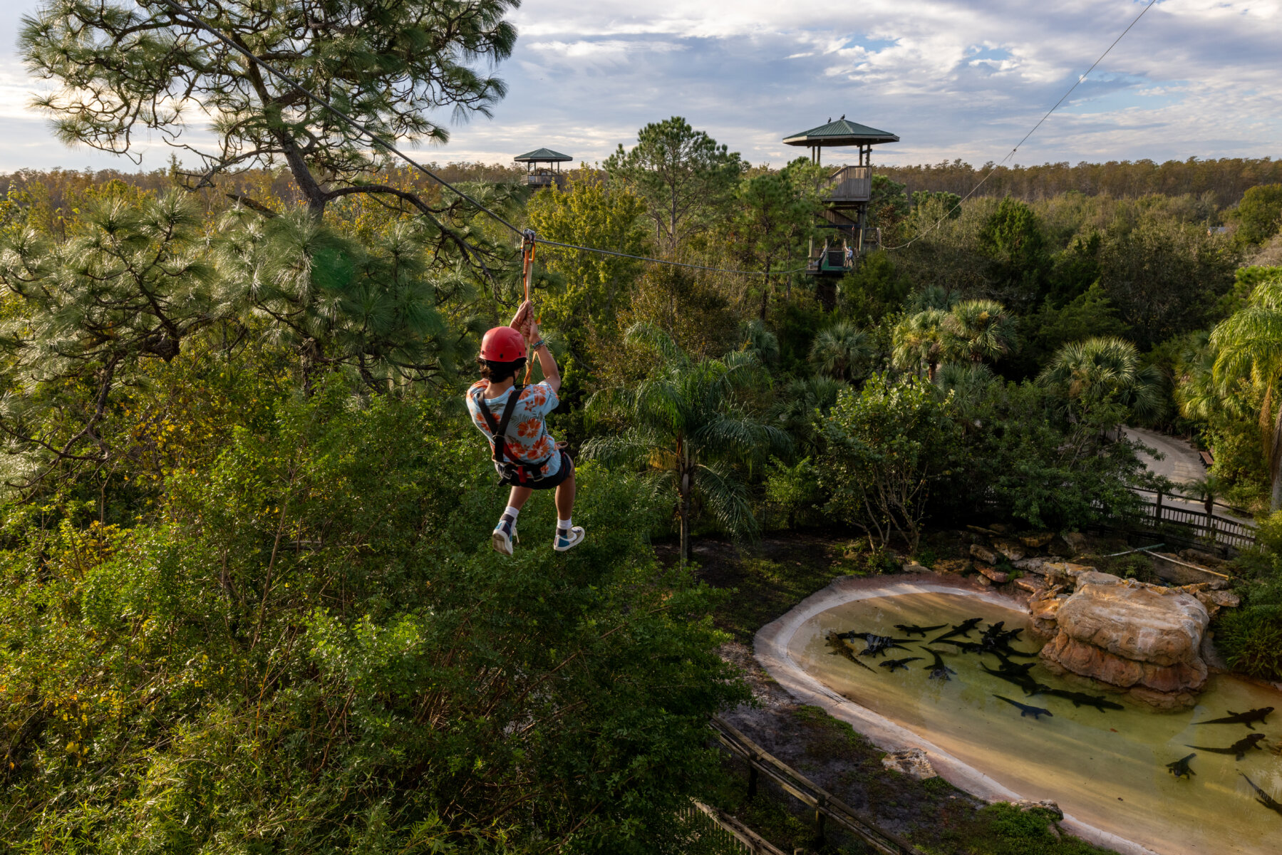 gatorland-ziplining