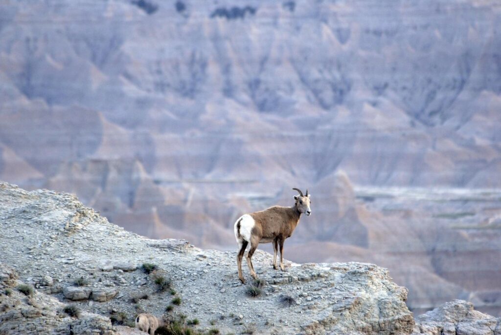 BadlandsNationalPark