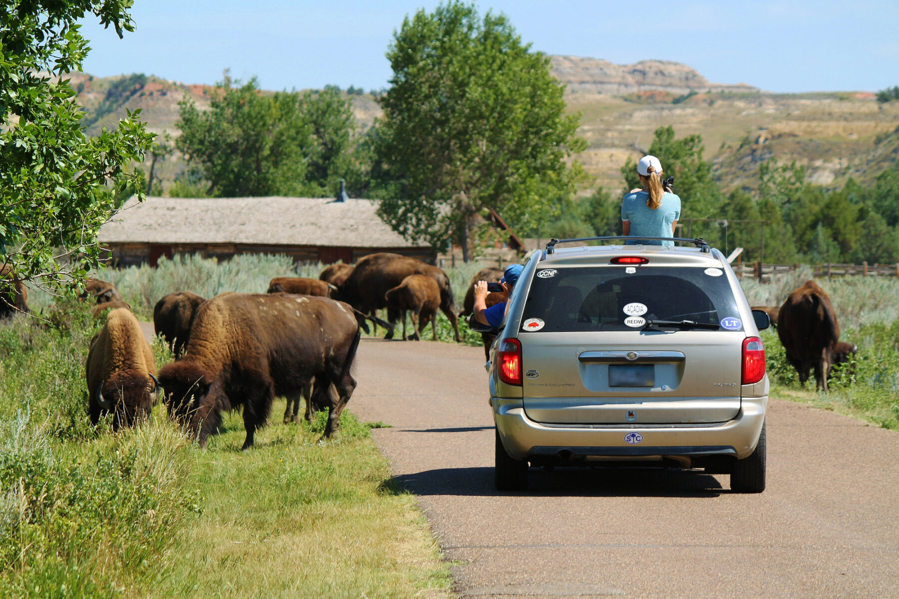 Theodore Roosevelt National Park