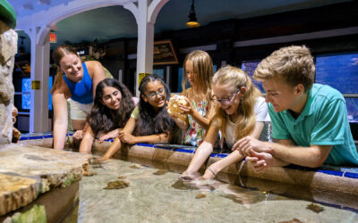De Florida Keys voor jong en oud