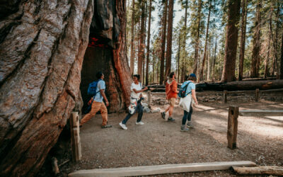 Een dag voor elke generatie: het familiegeheim van Yosemite