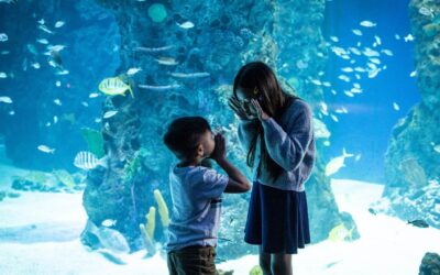 Familieactiviteiten in Mississippi