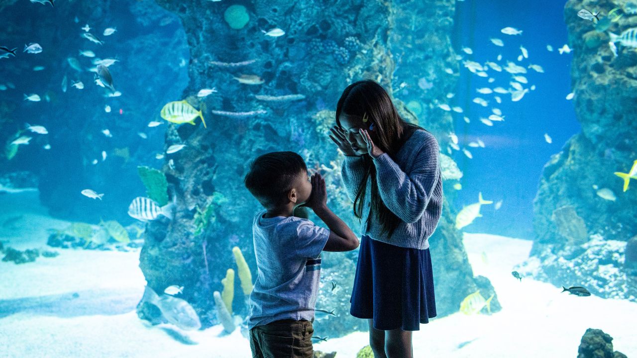 Mississippi Mississippi