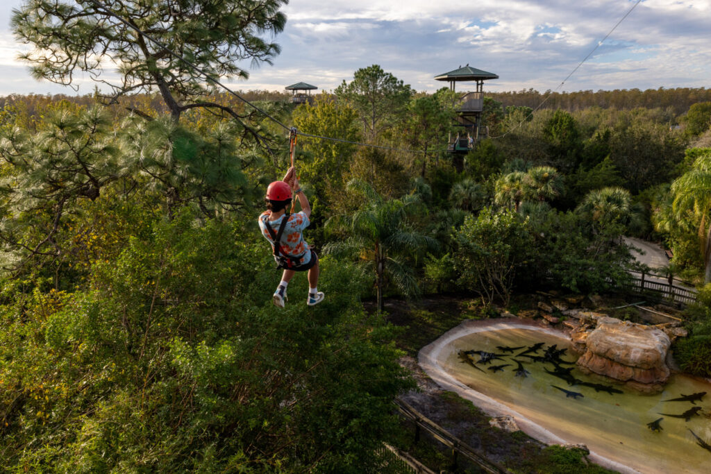 gatorland-ziplining