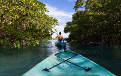 Sport in Naples, Marco Island en de Everglades