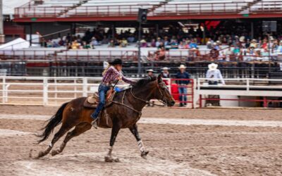 Beleef de Amerikaanse sportcultuur in de Great American West