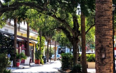 De verborgen parels van Florida’s Space Coast