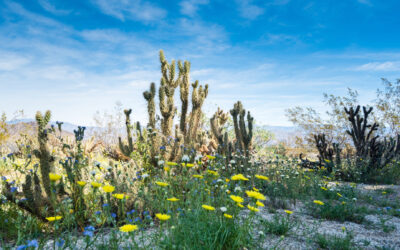 Off the beaten track in Amerika’s State Parks