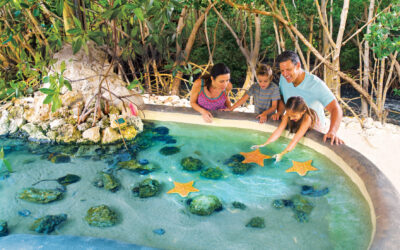 Ontdek een andere kant van de Florida Keys