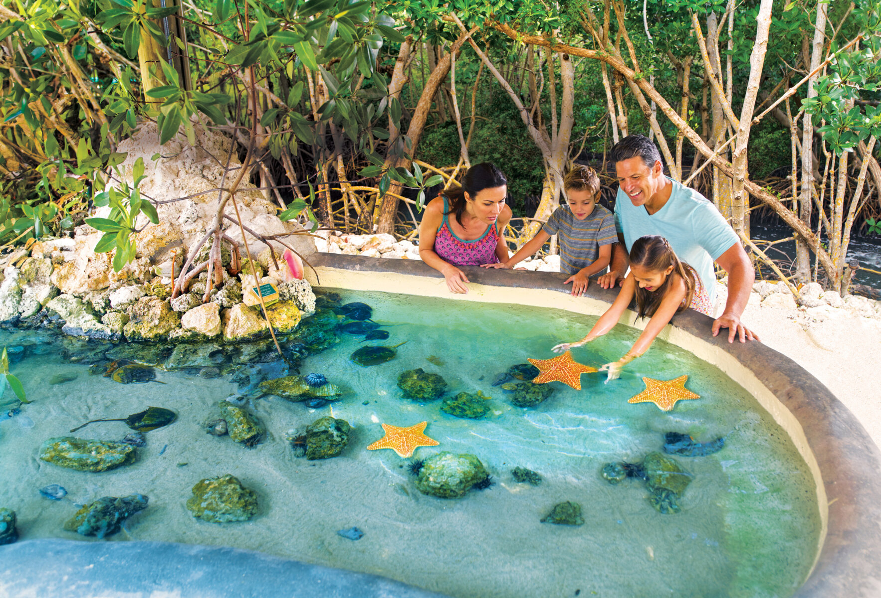Key West Aquarium Key West Aquarium