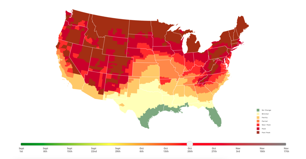 Fall Foliage Tracker peak