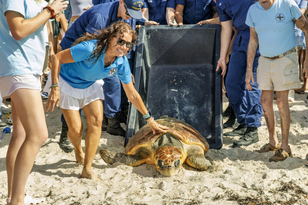 Turtle Release